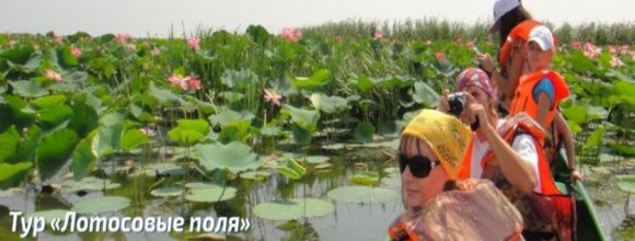 Лотосовые поля с базой «Fish Club» (Фиш Клаб)